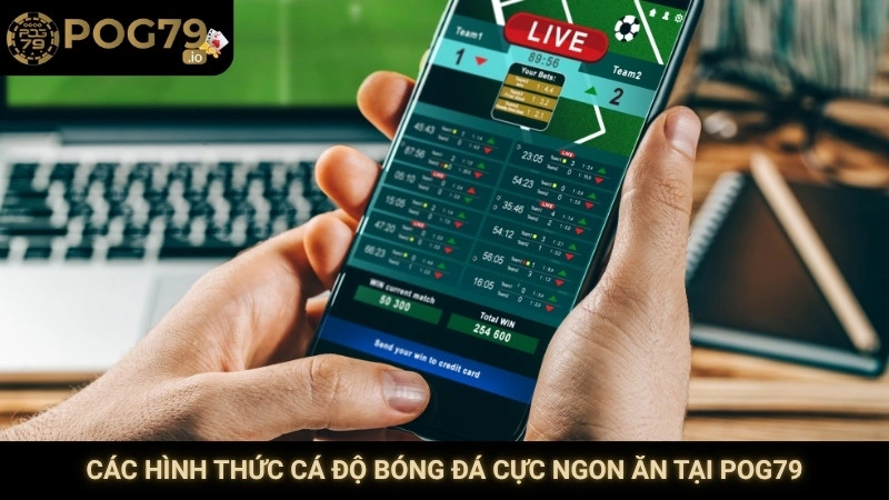Các hình thức cá độ bóng đá cực ngon ăn tại Pog79