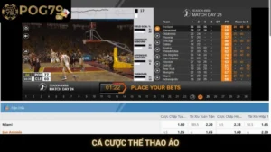 cá cược thể thao ảo Pog79
