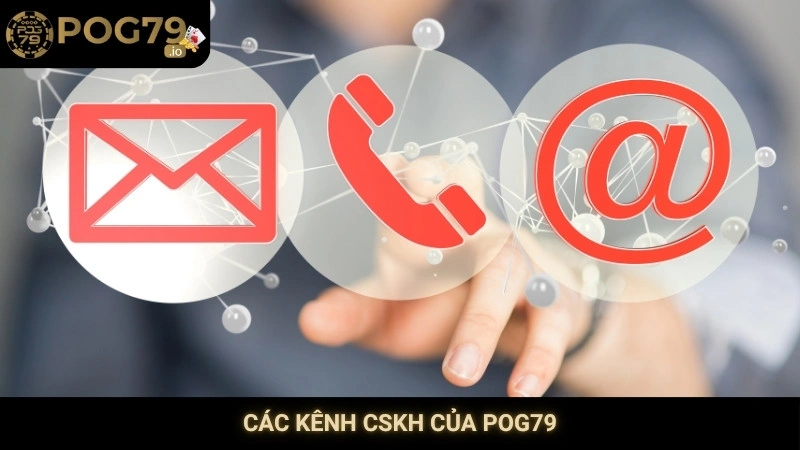 Các kênh CSKH của Pog79